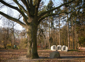 Wzgórze Niepodległości