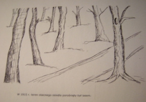 Rok 1915- teren osiedla Mireckiego porośnięty lasem.jpg