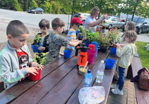 Uczniowie klasy I stoją przy stołach przed sobą mają doniczki w czerwonych lub niebieskich kolorach. W skupieniu pod okiem pani ogrodnik sadzą swoje pierwsze w życiu roślinki.