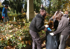 Uczniowie z klasy VII i VIII porządkują groby na Starym Cmentarzu.