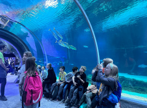 Lekcja biologii w Orientarium