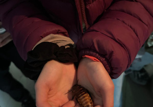 Uczeń trzymający w dłoniach owada