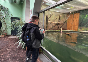 Uczeń fotografuje wodne gatunki zwierżat