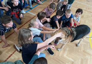 Uczniowie głaszczą podopiecznego ze schroniska