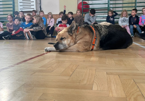 Zrelaksowany Rino wraz z uczniami słuchają wykładu pracownika schroniska