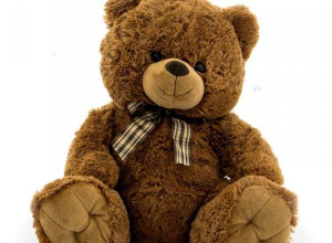 Sesja uczniów klas I-III z okazji Dnia Pluszowego Misia