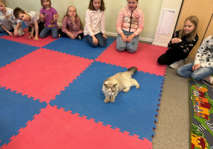 W świetlicy dzieci siedzą w kręgu a w środku na macie leży podopieczny fundacji kot Laluś. Wzrok dzieci skierowany jest na cudownego kota.