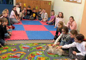 Klasy I-III zgromadzone w świetlicy siedzą w kręgu. Część dzieci po prawej stronie ma wyciągnięte ręce w stronę kota, aby go pogłaskać.