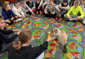 Klasy IV - VI w świetlicy siedzą w kręgu i obserwują kota. Dziewczynka głaszcze kota